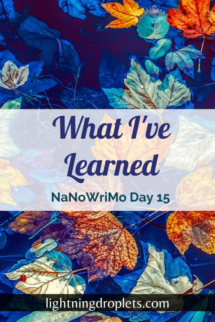 What I Have Learned Halfway Through: NaNoWriMo Day 15