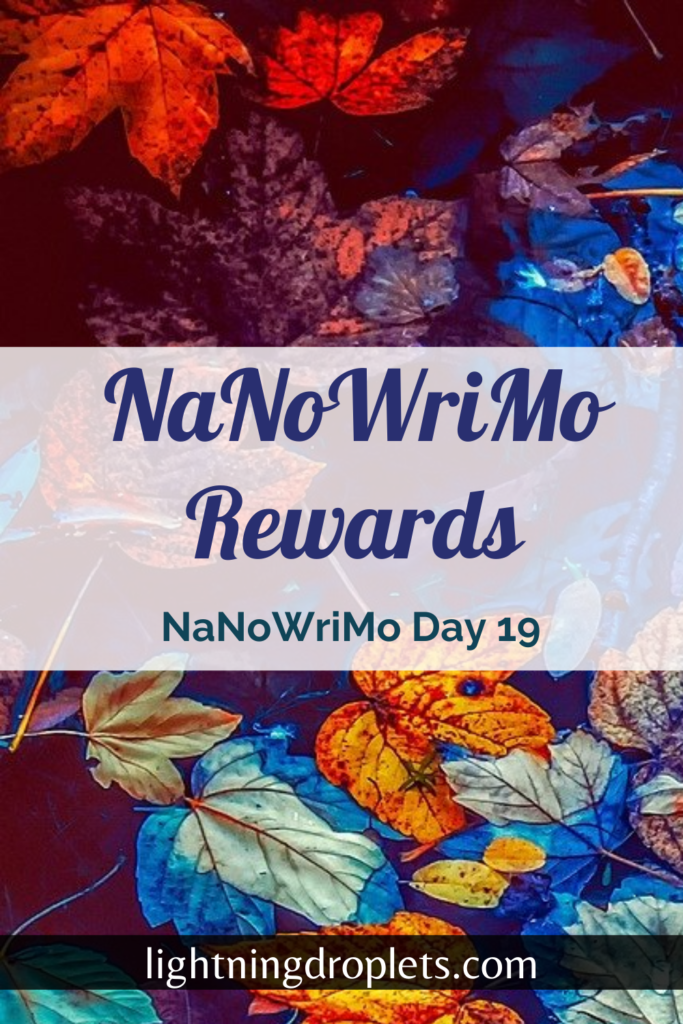 20,000 Word Reward: NaNoWriMo Day 19