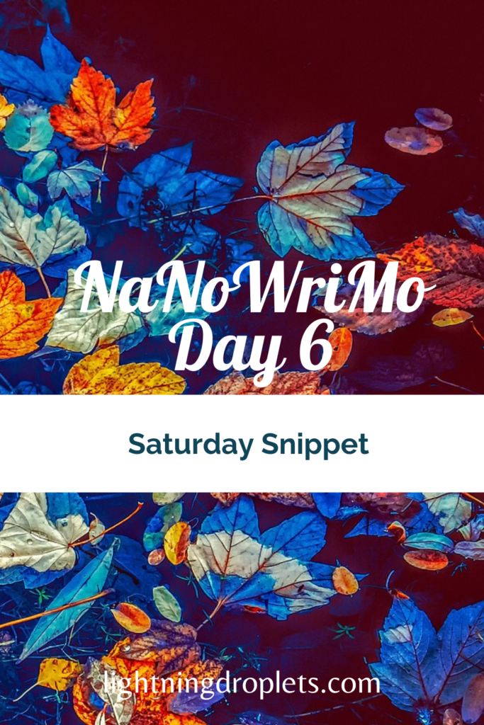 Nanowrimo novel excerpt