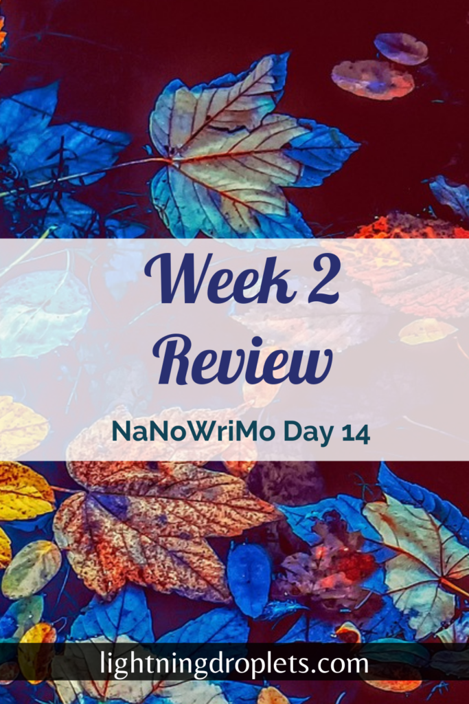 Nanowrimo Day 14: Week 2 Review