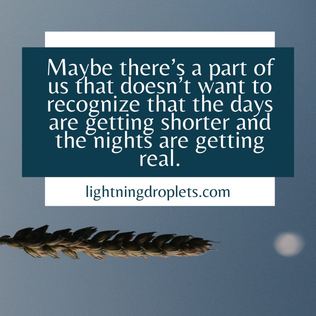 Writing Prompts and Rituals to Celebrate Lughnasadh and Craft a Magical August